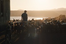Frédéric Farrucci is shooting Le Mohican